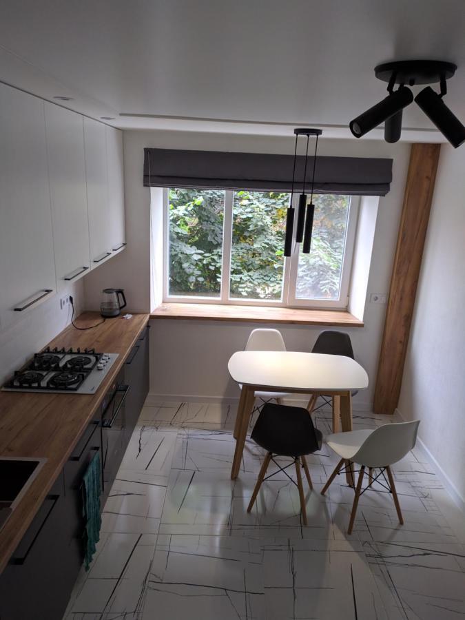 Cozy 75 Apart In Center - 2Х Кімнатна Квартира В Центрі Кропивницького Kirovograd Dış mekan fotoğraf